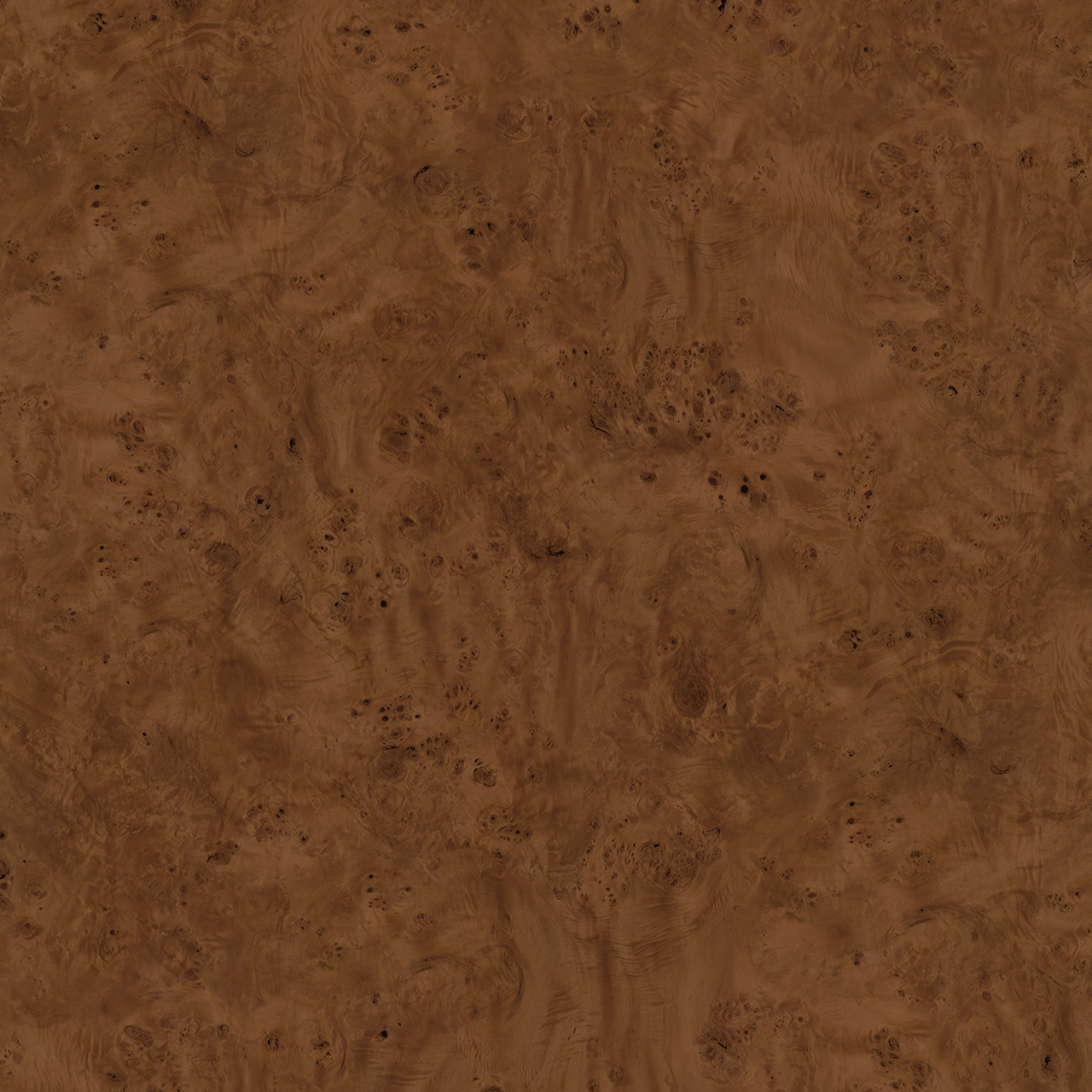 BG2605