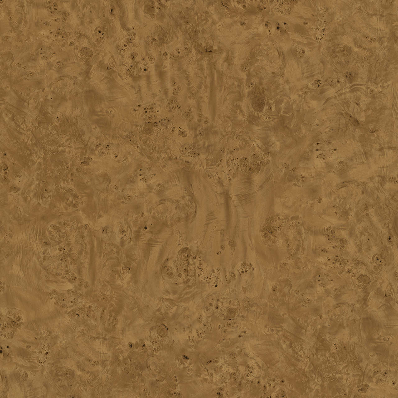 BG2604